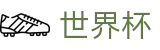 2026国际足联世界杯 · 世界杯赛事数据 | 2026世界杯认证网站